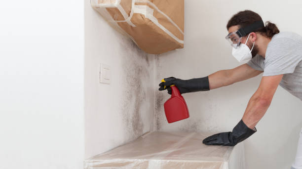 Professional Commercial Mold Remediation technician working in Bergenfield, NJ