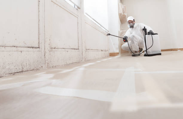 24/7 Emergency Commercial Mold Remediation experts in Bergenfield, NJ