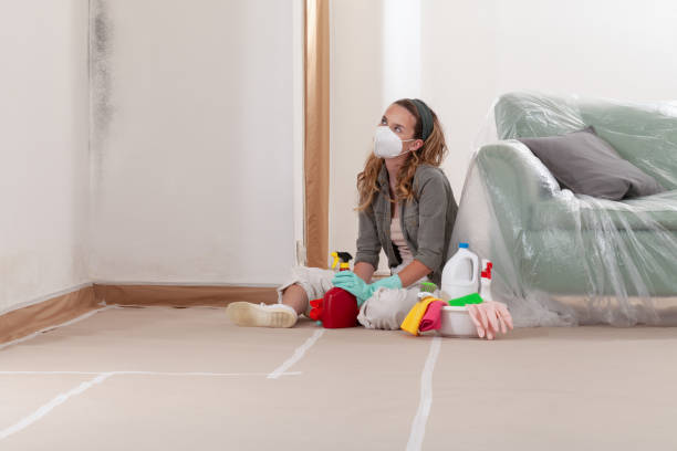 Reliable Commercial Mold Remediation contractor in Bergenfield, NJ by WQB Mold Removal